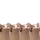 640x640