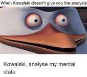 500x444