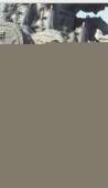 454x784