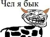1080x789