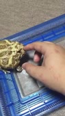 406x720