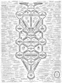 2040x2689
