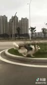 360x640