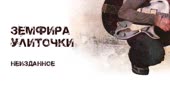 1280x720
