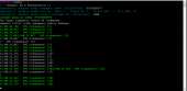 980x481