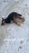 360x638