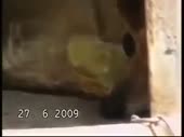 400x300