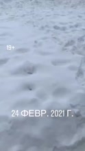 360x638