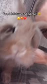 540x960