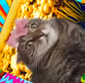 368x360