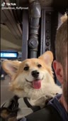 544x960