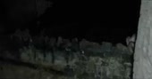 460x242