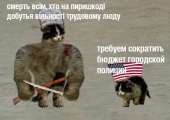 626x444
