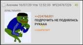 486x266