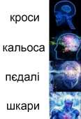 453x662