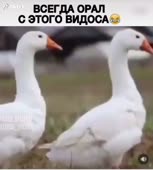 540x600