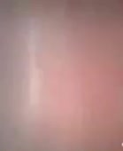146x178