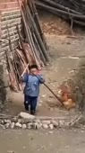 608x1080