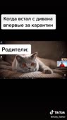 540x960