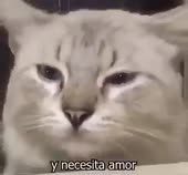 400x372