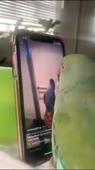 406x720