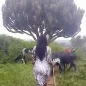 360x360