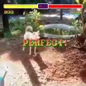 960x960