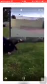 360x640