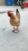 406x720