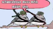 854x480