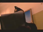 480x360