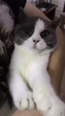 540x960