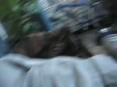 480x360
