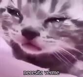 400x372