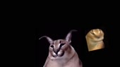 1280x720