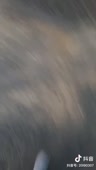 544x960