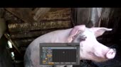 640x360