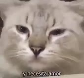 400x372