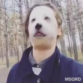 360x360