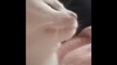 480x270