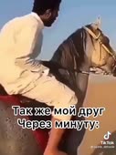 540x718
