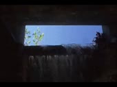 320x240