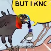 360x360