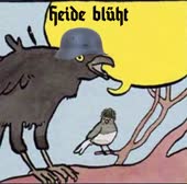 460x456