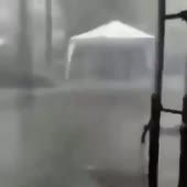 360x360