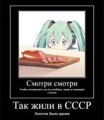 720x831
