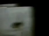 320x240