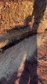 540x960