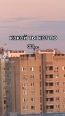 540x960