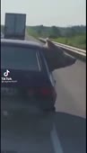360x630
